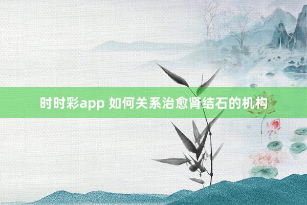 时时彩app 如何关系治愈肾结石的机构