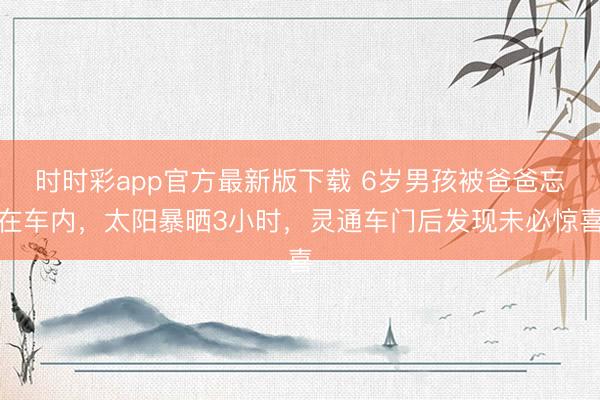 时时彩app官方最新版下载 6岁男孩被爸爸忘在车内，太阳暴晒3小时，灵通车门后发现未必惊喜